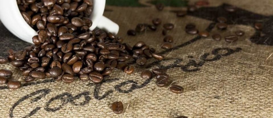 Sea Kayaking Costa Rica