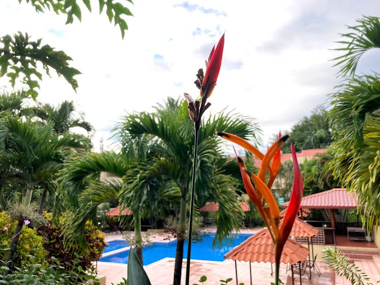 Sea Kayaking Costa Rica