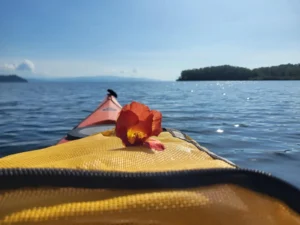 20240108_084505-scaled