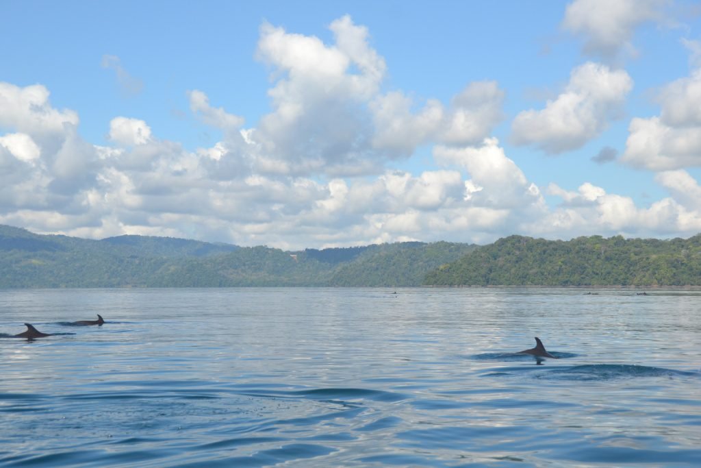 best places to kayak in costa rica
