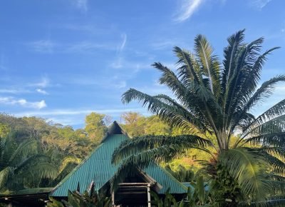 El chontal El chontal